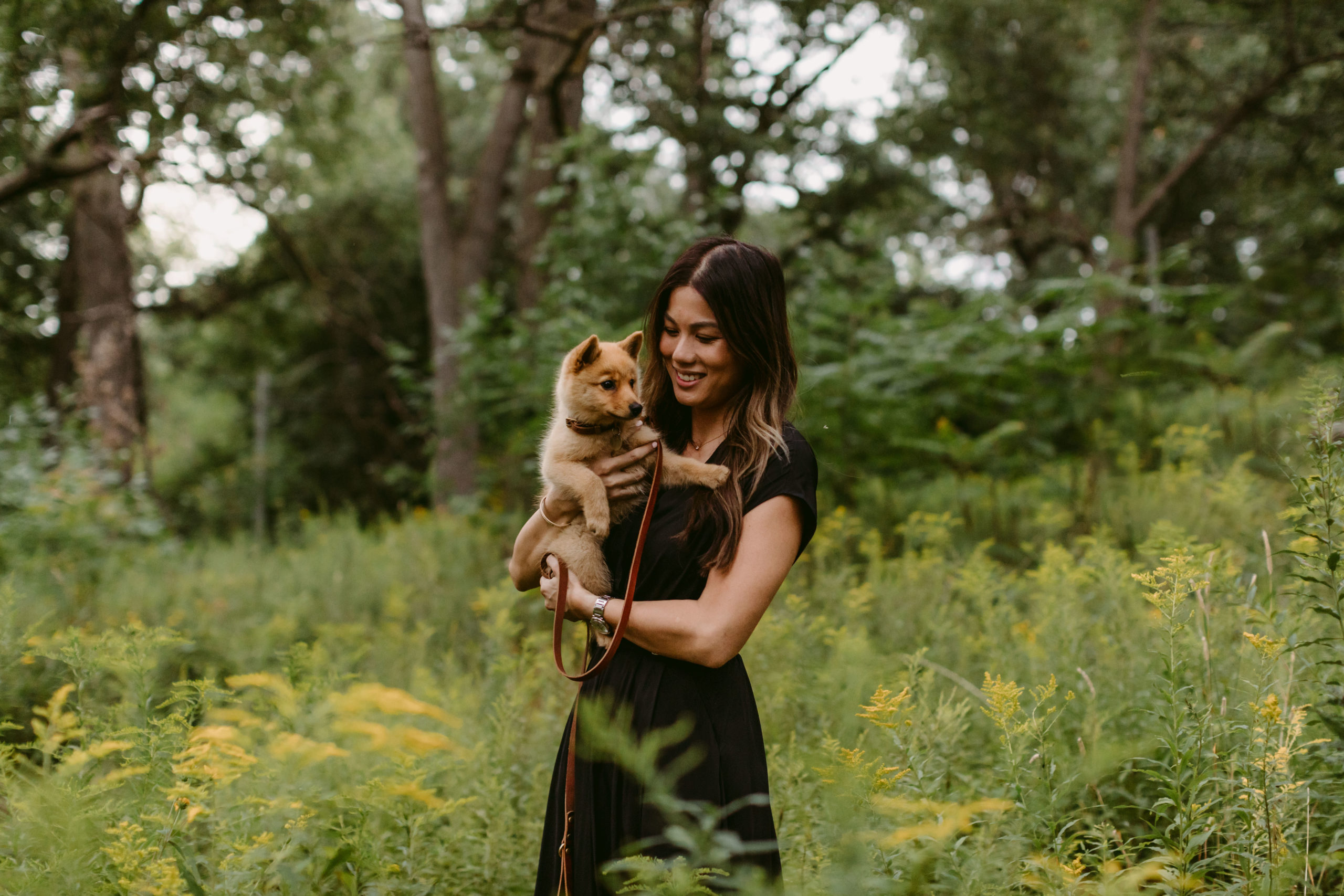 High Park Pet Session