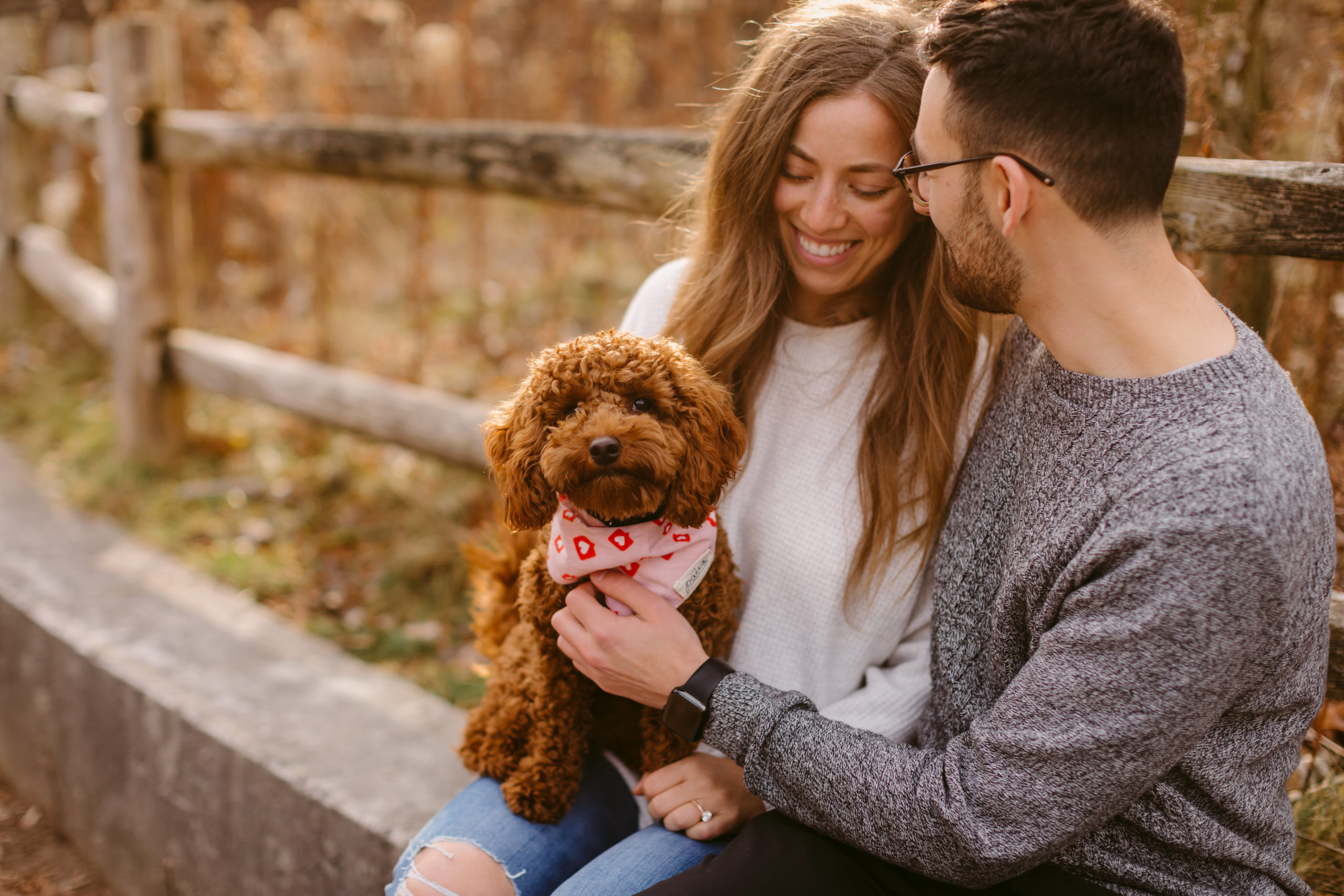 Toronto Dog Photographer