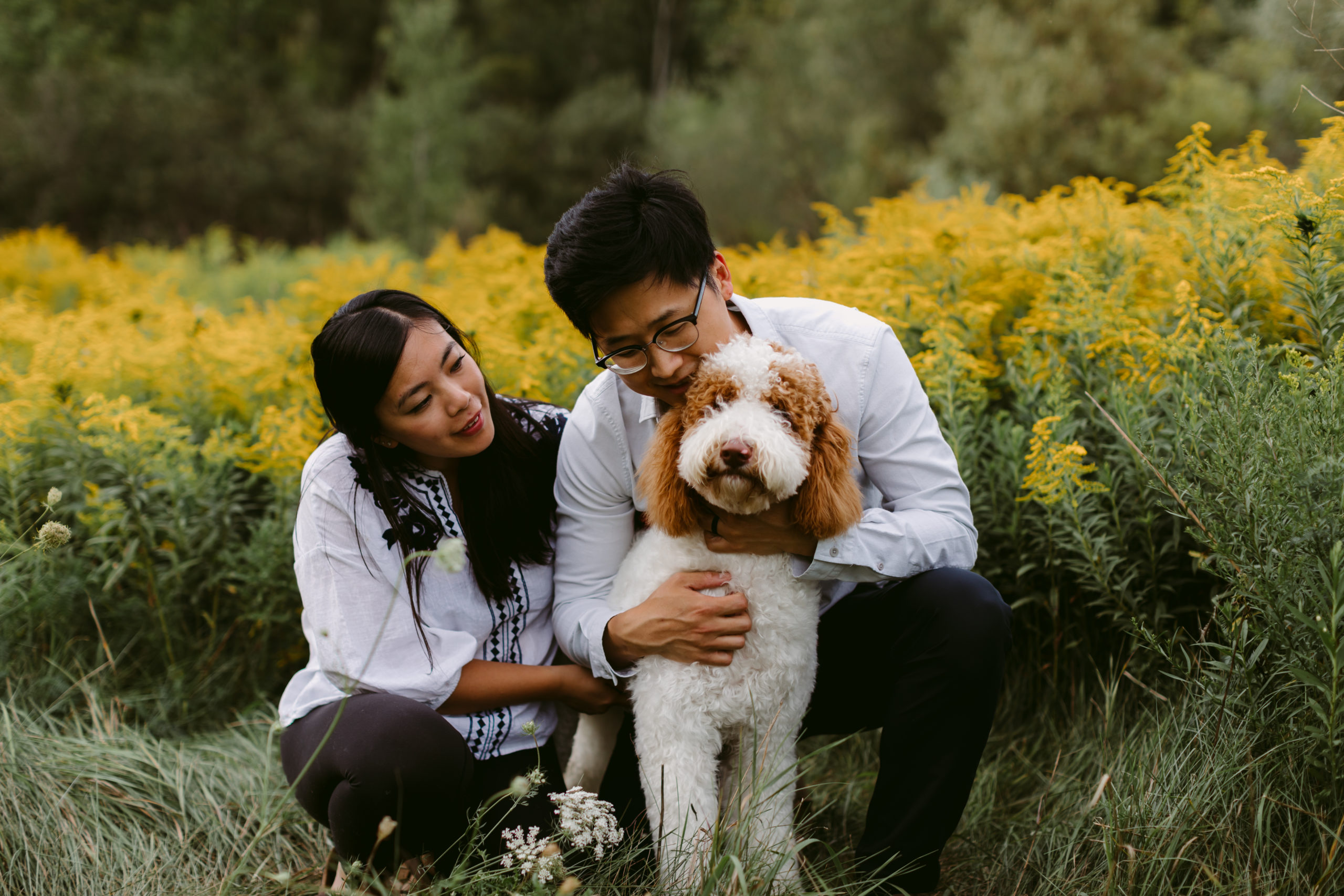 Toronto Pet Photographer