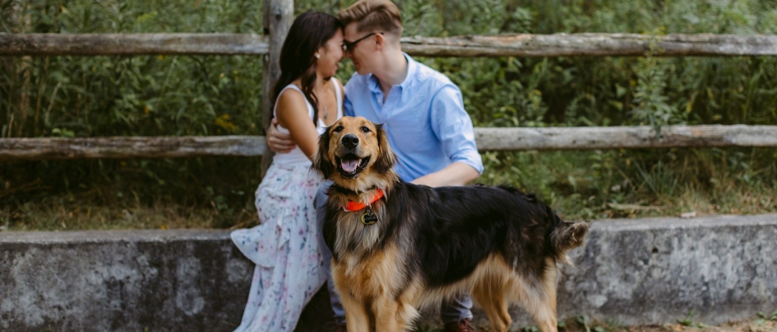 Evergreen Engagement Session with your Dog