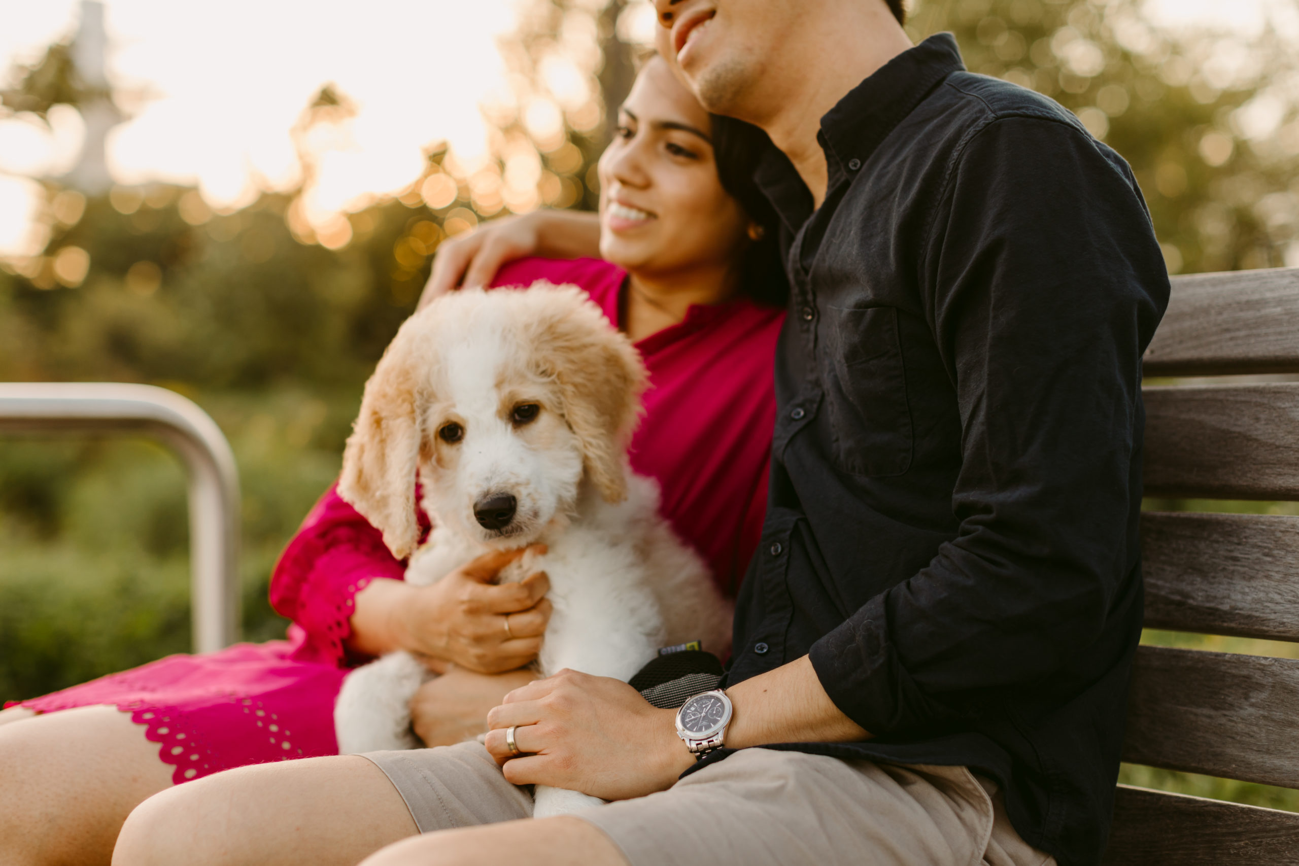 Toronto Pet Photography Session