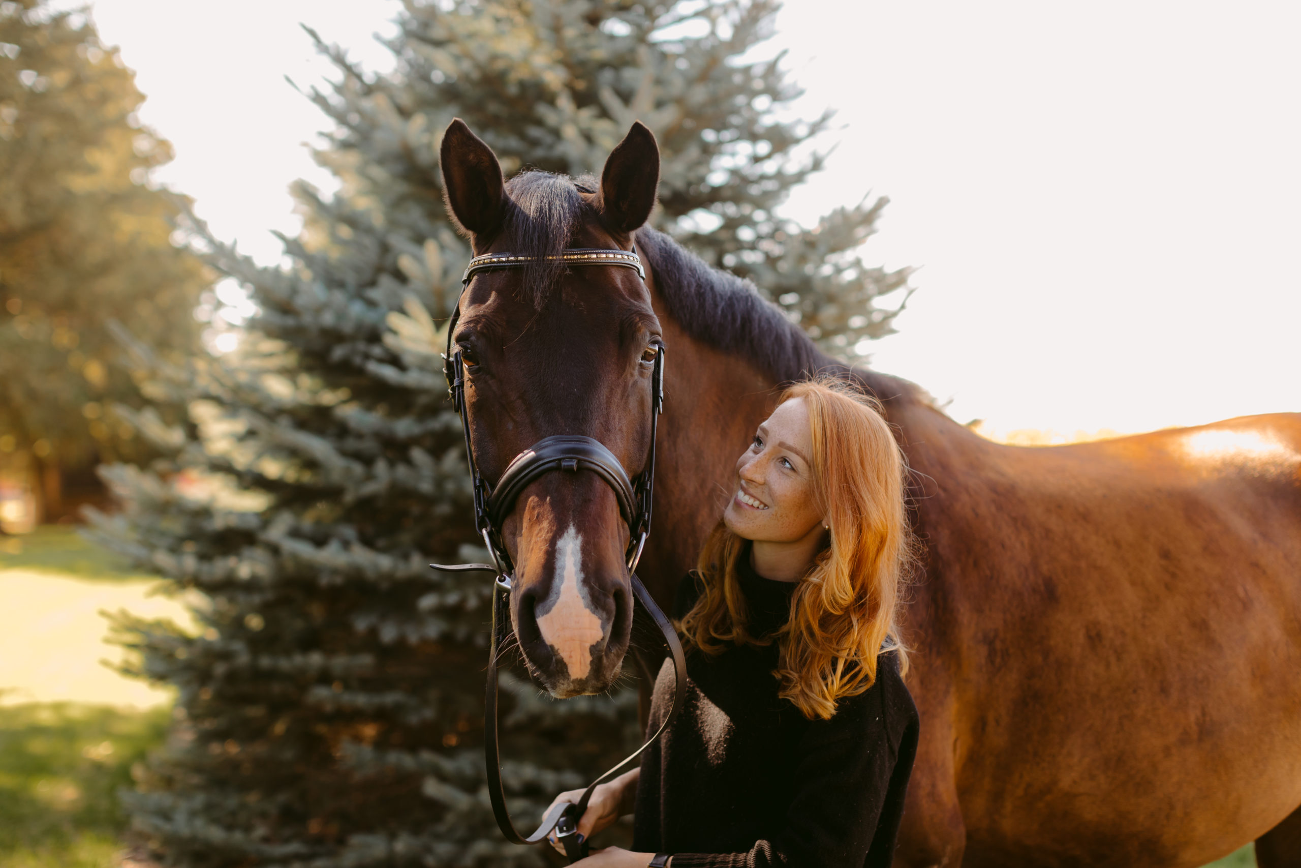 Ontario Horse Photographer