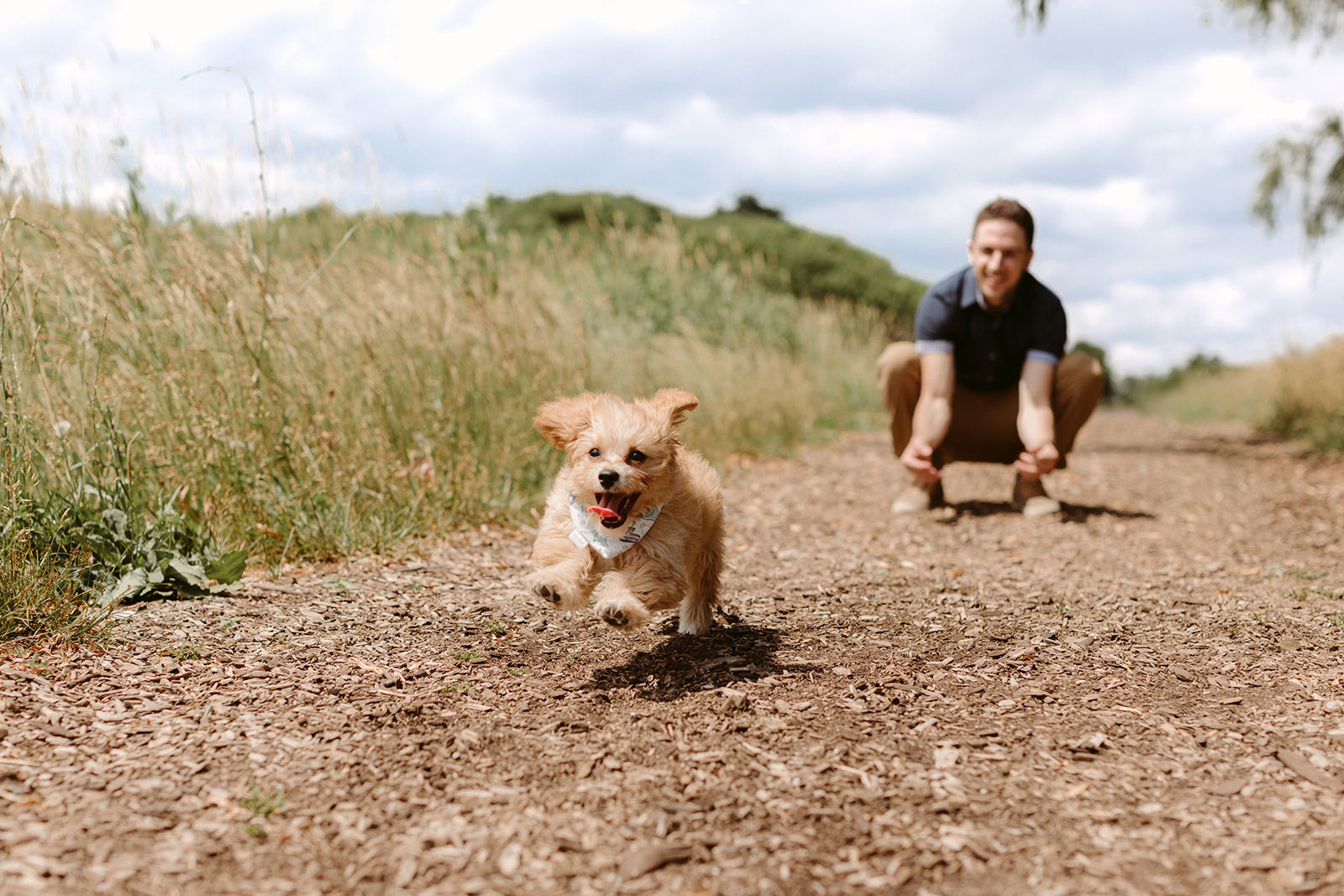 Danica Oliva Pet Photography