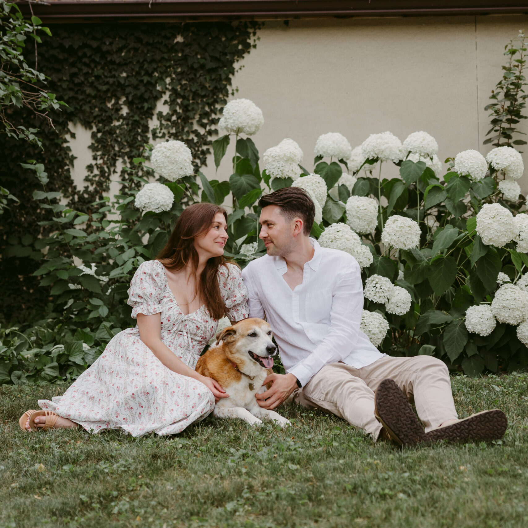 Couple sitting on the grass with their dog in front of blooming white hydrangeas, sharing a loving look.