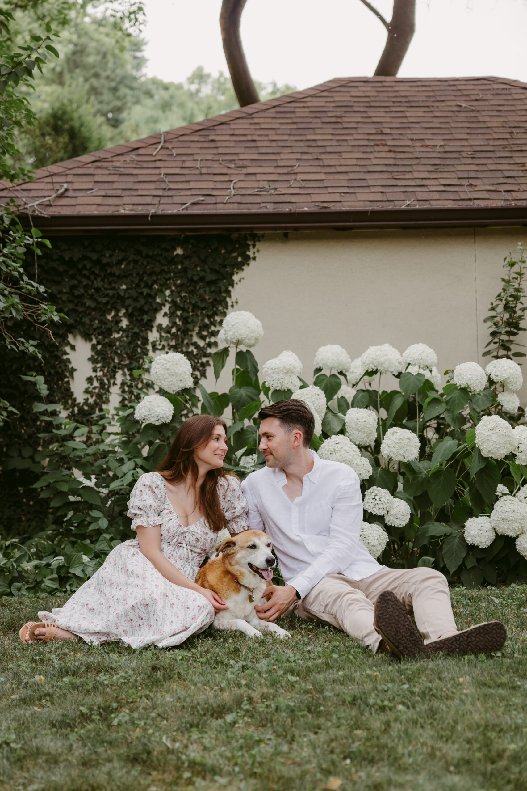 Couple sitting on the grass with their dog in front of blooming white hydrangeas, sharing a loving look.
